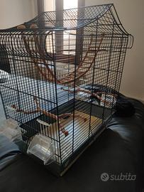 Gabbia per uccellini 