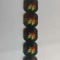 Vasco Rossi token Modena Park