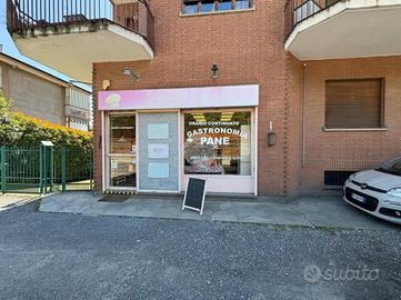 ATTIVITÀ A MONCALIERI