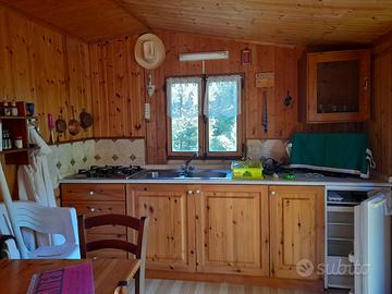 Roulotte + casetta in legno