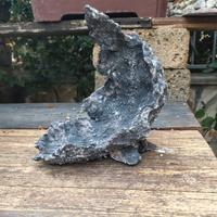 pietra di luna vaso bonsai