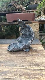 pietra di luna vaso bonsai