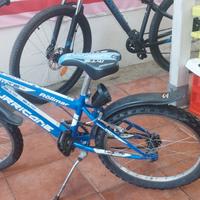 bici bambino röllimar