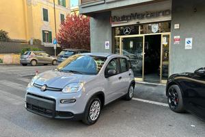 FIAT Panda 1.0 FireFly Hybrid -Pronta Consegna N