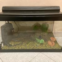 ACQUARIO COMPLETO