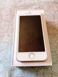 iPhone 5S 