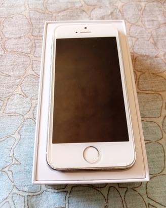iPhone 5S 