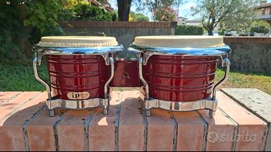 Bongo LP professionale