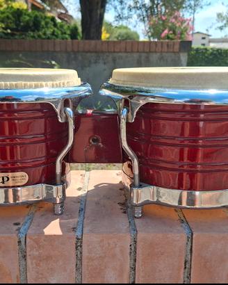 Bongo LP professionale