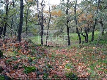 Ragalna - terreno agricolo id: ra093t