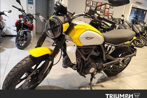 DUCATI Scrambler 800 Icon