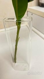 Vaso per 1  fiore