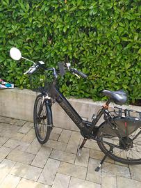 bicicletta elettrica 