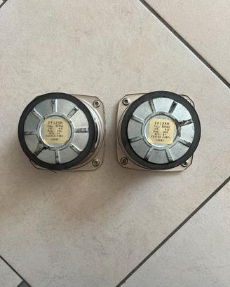Casse Fostex Vintage