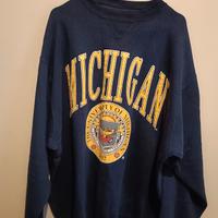 Felpa Michigan University 1817 vintage