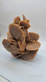 Minerale rosa del deserto provenienza Marocco 