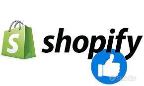 Gestione di sito shopify con data entry e non solo