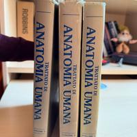 Trattato di Anatomia Umana. Volumi 1-3.