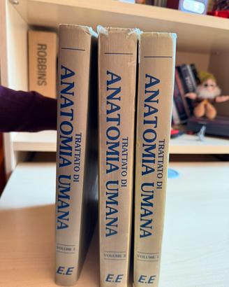 Trattato di Anatomia Umana. Volumi 1-3.