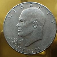 1 dollaro 