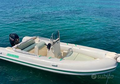 Gommone Ribmarine 545 con motore Mercury 40Pro