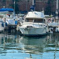 Posillipo Fisherman Aruba