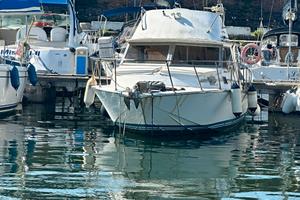 Posillipo Fisherman Aruba