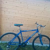 bici da corsa mtb