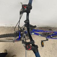 Bicicletta da ragazzo