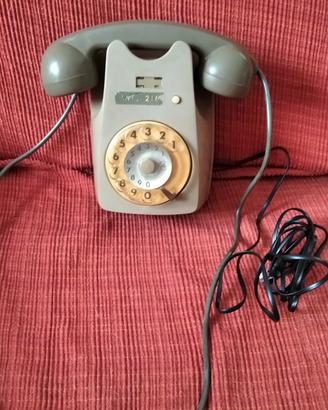 Telefono a muro