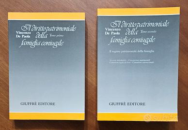 Il Diritto Patrimoniale Della Famiglia Coniugale 