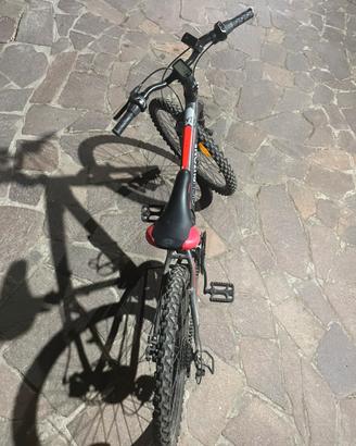 Bicicletta normale