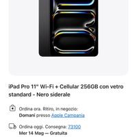 iPad Pro 11 M4 256gb WI-FI CELLULAR 5g NUOVO
