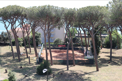 Follonica fronte pineta ponente 100 MT dal mare