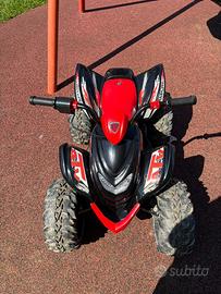 Quad elettrico