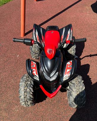 Quad elettrico