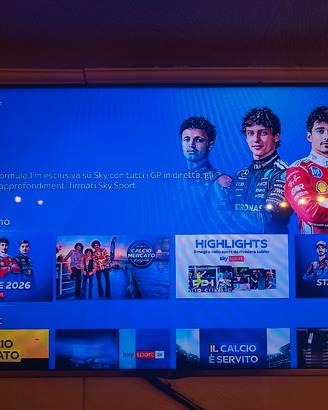 TV LG 55"