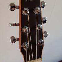 Chitarra SEAGULL S6