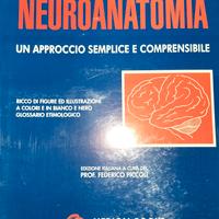 Neuroanatomia/ M.  Liebman