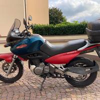 Suzuki xf 650 freewind