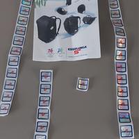 Esselunga Salomon Bollini 