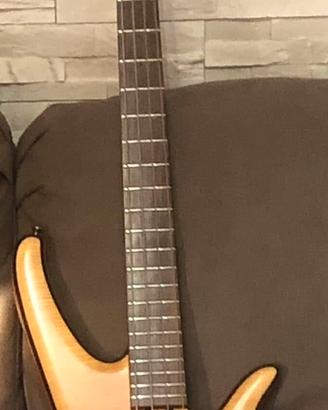 Basso Mari by Redivivus Stego 4 custom