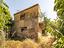 Immagine 14