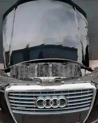 Audi A8 D3 Facelift Muso Paraurti Fari Radiatori