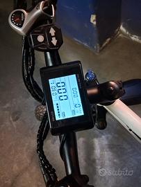 bicicletta ebike