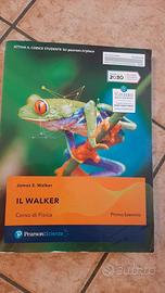 CORSO DI FISICA - IL WALKER