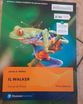CORSO DI FISICA - IL WALKER