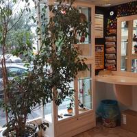 Tabaccheria in centro, ricevitoria e superenalotto