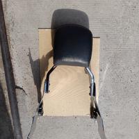 schienalino harley davidson sportster 