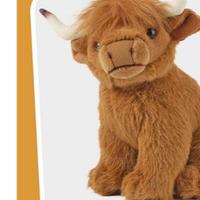 Mucca delle Highlands